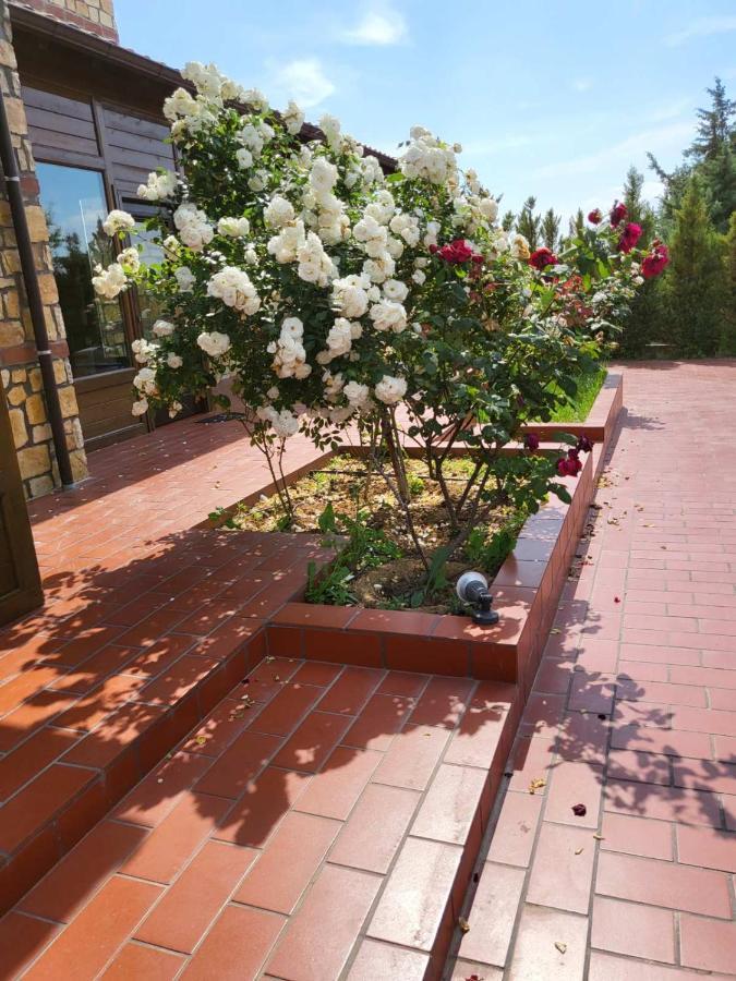 The Stone Heaven Holiday home Galini (Thessaloniki)